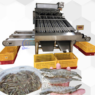 Καλή τιμή Μηχανή ταξινόμησης γαρίδας 3P Multiscene Automatic Multi Function σε απευθείας σύνδεση