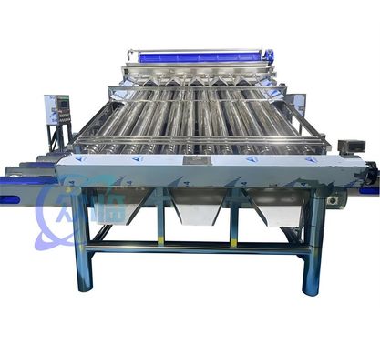 Καλή τιμή 4900W SUS304 Μηχανή διαλογής γαρίδας, ανθεκτική μηχανή διαλογής πλύσης γαρίδας σε απευθείας σύνδεση