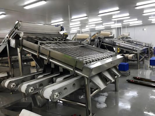 Καλή τιμή 3P ανθεκτική μηχανή διαλογής γαρίδας, εξοπλισμός διαλογής γαρίδας κατά της διάβρωσης σε απευθείας σύνδεση
