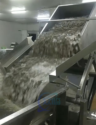 2Ηλεκτρική μηχανή επεξεργασίας γαρίδας. 2KW πρακτική για ψάρια