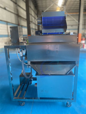 Καλή τιμή 1500W Σταθερός εξοπλισμός εργοστασίου επεξεργασίας ψαριών, βιομηχανικός διαχωριστής μουστάκιας γαρίδας σε απευθείας σύνδεση