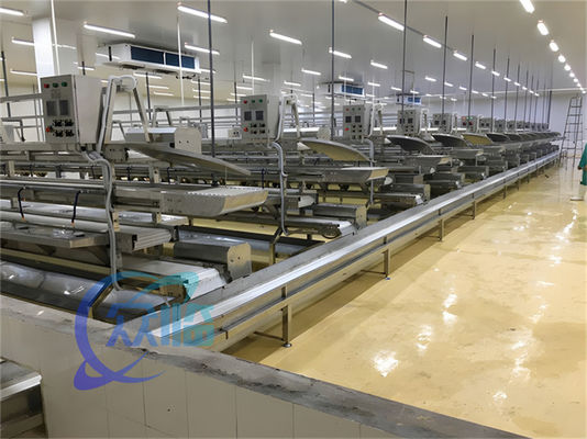 Καλή τιμή 3.10KW Μεταγωγική γραμμή επεξεργασίας ψαριών Αλιευτική γραμμή παραγωγής αποφλοιοποίησης σε απευθείας σύνδεση