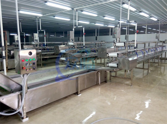 Καλή τιμή 2.22KW SS πλυντήριο για την επεξεργασία φρούτων και λαχανικών σε απευθείας σύνδεση
