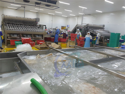 Καλή τιμή Παγωμένη πλύση ψαριών και γαρίδων θαλασσινών η εργοστάσιο επεξεργασίας ποτίζει το ξεπαγώνοντας πλυντήριο επεξεργασίας γαρίδων μηχανών κύκλων online