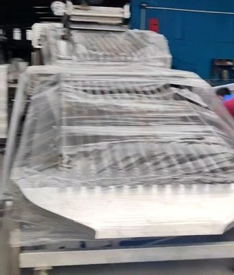 Προσαρμοσμένο εξοπλισμό ταξινόμησης ψαριών ελέγχου PLC για την ταξινόμηση μικρών ψαριών με αυτόματο