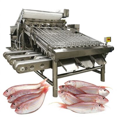 Καλή τιμή Εφικτό Fish Sorting Machine Fish Sizing Machine and Fish Specification Machine 1000kg-1200kg Fish Sorter για την επεξεργασία ψαριών online