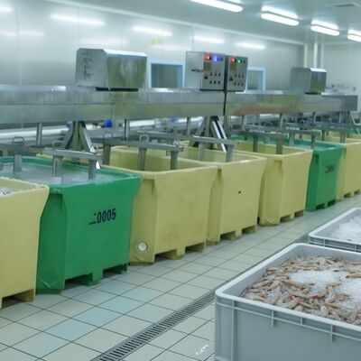 Καλή τιμή Μικρατήρας θαλασσινών για την επεξεργασία ψαριών Καλύτερη μηχανή βρύσης για ψάρια σε απευθείας σύνδεση