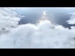 ρυπαίνων γαρίδας