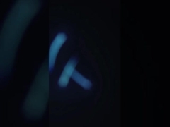 SUS304 Πρακτική μηχανή καθαρισμού γαρίδας, πολλαπλός διαχωριστής αποβλήτων γαρίδας